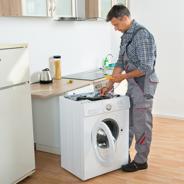 can you walk me through the steps of troubleshooting my washer issue in Camano WA